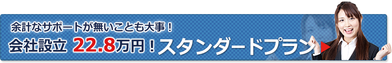 会社設立 24.8万円！スタンダード プラン